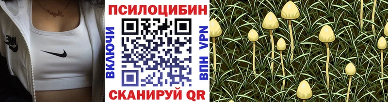 Галлюциногенные грибы мухоморы hydra маркетплейс Белогорск