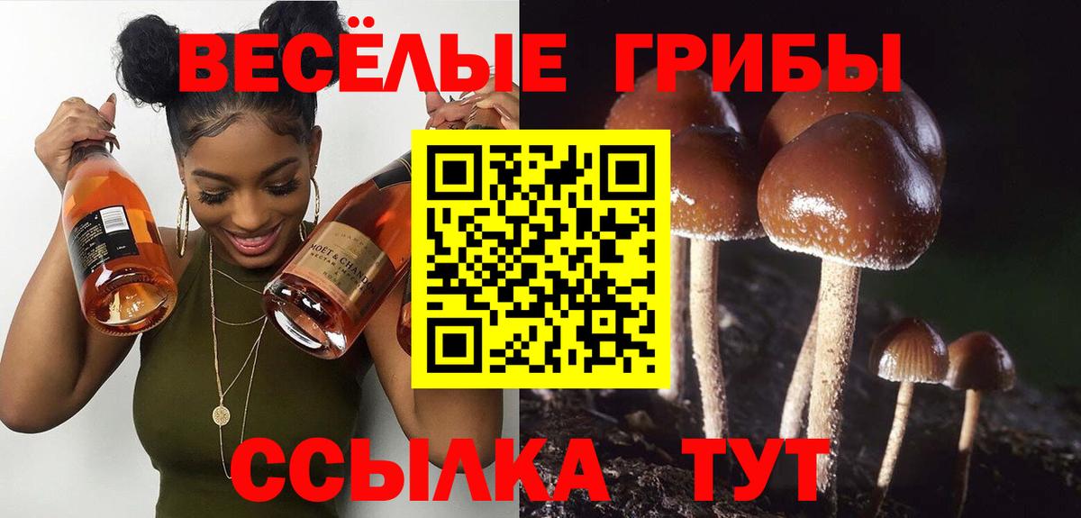 Псилоцибиновые грибы Cubensis  Вход с VPN  Белогорск  Псилоцибиновые грибы Psilocybe 